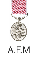 Air Force Medal - 1 WAGS Ballarat