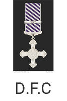 Distinguished Flying Cross - 1 WAGS Ballarat