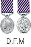 Distinguished Flying Medal - 1 WAGS Ballarat